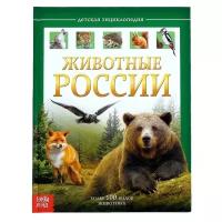 Детская энциклопедия в твёрдом переплёте "Животные России", 48 страниц, для детей и малышей