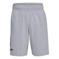 Шорты Under Armour Sportstyle Graphic Light Grey (XL)