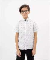 Школьная рубашка Gulliver, размер 152, белый