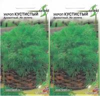 Укроп Кустистый, суперароматный и мегаурожайный, 2 упаковки по 750 семян