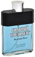 Dannie Dio Мужской Сильный Президент Железная Воля Туалетная вода (edt) 95мл