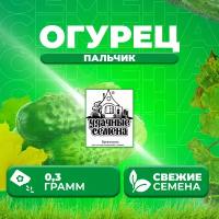 Огурец Пальчик, 0,3г, Удачные семена, Белые пакеты (1 уп)