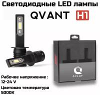 H1 Optima LED QVANT, 12-24V, 2 лампы