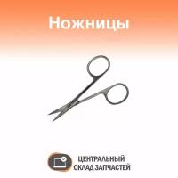 Scissors / Ножницы изогнутые остроконечные 100 мм (нержавеющая сталь) Sammar П-13-442