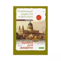 Бумага для акварели Альт, А2 (420 х 594 мм), 8 листов, профессиональная серия, Арт. 4-083