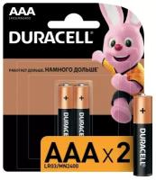 Батарейки Duracell LR03-2BL BASIC AAA 2 штуки