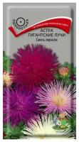 Семена Астра Гигантские лучи смесь окрасок 0,3г для дачи, сада, огорода, теплицы / рассады в домашних условиях