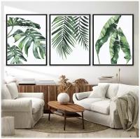 3 постера "Тропические листья, монстера, пальма, банан" 40 на 50 в тубусе / Набор постеров картин для интерьера / Картина для интерьера / Плакат