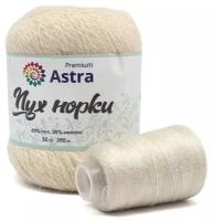 Пряжа Astra Premium 'Пух норки' (Mink yarn) 50гр 290м (+/- 5%) (80%пух, 20%нейлон) (+нить 20гр)