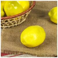 Муляж Лимон 10 см, жёлтый, 10 шт