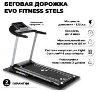 Беговая дорожка Evo Fitness Stels