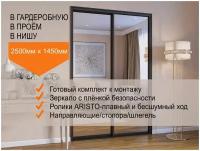 Двери для гардеробных и шкафов купе, зеркальные, в проём 2500х1450мм. Комплект 2шт