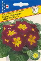 Примула Биколор Миранда F1. Семена. Многолетнее невысокое растение 12-14 см. Цветки большие, двухцветные, распускаются ранней весной