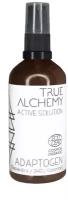 True Alchemy Active Solution ADAPTOGEN, 100 мл