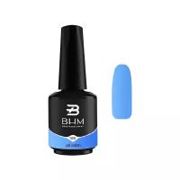 BHM Professional Гель-лак Gel Polish, 7 мл, 15 г, №169