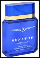 Туалетная вода мужская SENATOR DEEP BLUE, 100 мл