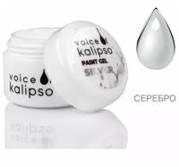 Voice of Kalipso Paint Gel-Гель краска серебро, 5 мл