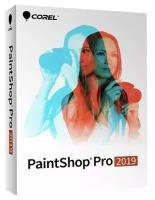 PaintShop Pro 2019 ESD ML