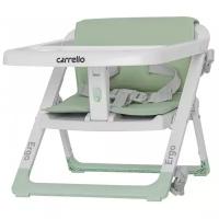 Стульчик для кормления Carrello Ergo CRL-8403 Ash Green