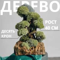 Дерево из цетрарии исланского мха, 40 см