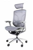 Премиум эргономичное кресло GT Chair Dvary X, серый