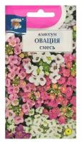 Семена цветов Цв Алиссум "Овация", смесь,0,1 гр