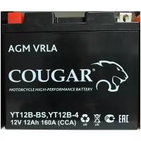 Аккумулятор мотоциклетный Cougar AGM YT12B-BS 12V 12Ah (залит и готов к применению)