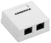 Розетка информационная RJ45 кат.5е UTP 2 порта настенная GENERICA ITK CS2-1C5EU-22-G (6шт. в упак.)