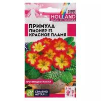 Семена цветов Примула Пионер "Красное пламя",5 шт