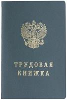 Бланк документа "Трудовая книжка", 88х125 мм, гознак