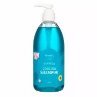 Охлаждающий шампунь Deoproce Refresh Cooling Shampoo