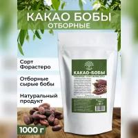 Какао-бобы, сорт Форастеро, Здоровая Семья, сырые необжаренные отборные, 1 кг ( 1000 г)