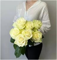 Роза Мондиаль белая 60 см 7шт