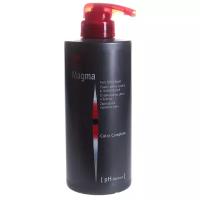 Wella Professionals Magma Стабилизатор Цвета и Блеска, 500 мл