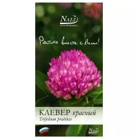 Клевер луговой (красный) 1 кг