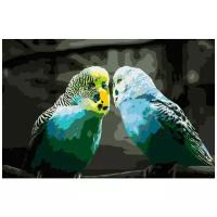 Волнистые попугайчики Раскраска картина по номерам на холсте