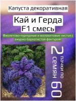 Цветы Капуста декоративная Кай и Герда смесь F1 2 пакета по 60шт семян