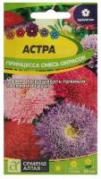 Семена цветов Астра "Принцесса", смесь окрасок, Сем Алт, ц/п, 0,3 г