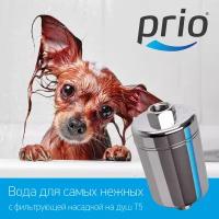 Фильтр для душа Prio Новая Вода T5