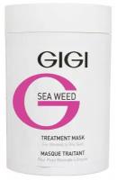 Маска лечебная для комб. и жирной кожи 250мл/ Sea Weed Treatment Mask, GiGi (Джи Джи) 250 мл