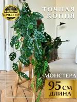 Монстера "Манки Лиана" 95см