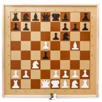 Настольная игра шахматы демонстрационные магнитные