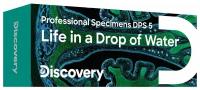 Набор микропрепаратов Levenhuk (Левенгук) Discovery Prof DPS 5. «Жизнь в капле воды»