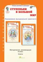 Ступеньки в большой мир. 0 класс. Методическое пособие. Холодова О.А., Козина Г.А