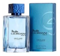 Туалетная вода Mister Giordani Aqua