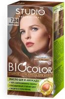 Комплект BIOCOLOR для окрашивания волос STUDIO PROFESSIONAL 7.34 лесной орех 2*50+15 мл