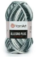 Пряжа для вязания YarnArt 'Allegro Plus' 100гр 110м (16% шерсть, 28% полиамид, 56% акрил) (748 секционный), 5 мотков