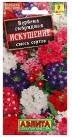 Вербена "Искушение", смесь сортов, ц/п, 0,1 г