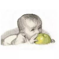 Набор для вышивания Овен 511 Малыш с яблоком