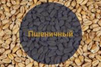 Солод базовый Soufflet "Malt De Ble, 2-5 EBC" (Суффле - Пшеничный), Франция, 1 кг., С помолом